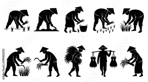 Farmers Harvesting Rice - Black  White Silhouette Collection