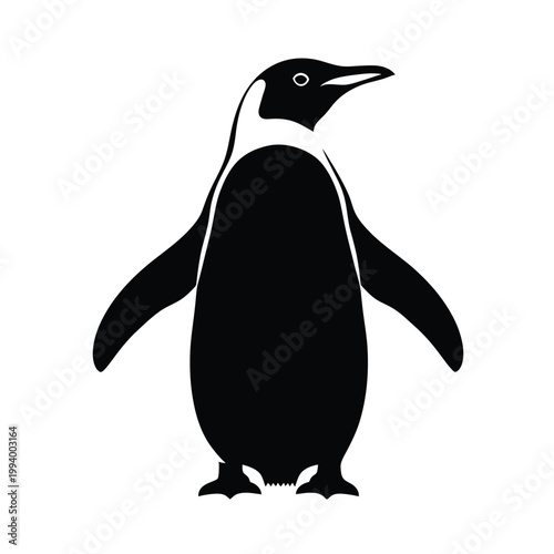 Penguin standing on white background