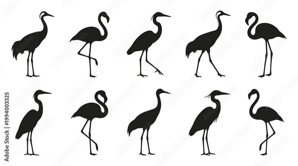 Fototapeta premium Silhouette Cranes and Flamingos, Flat Black and White Vector Icons