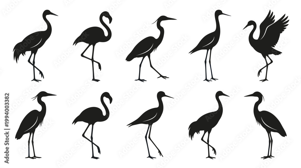Fototapeta premium Nature Wildlife Black Silhouette Vector Icons: Wading Birds - Herons, Cranes, Flamingos, Storks
