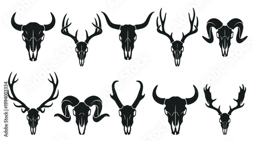 Black  White Vector Art of Various Animal Skulls and Horns