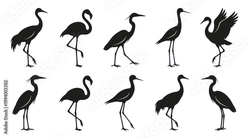 Nature Wildlife Black Silhouette Vector Icons: Wading Birds - Herons, Cranes, Flamingos, Storks