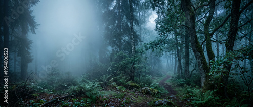 Foggy Night Forest Path with Moonlight