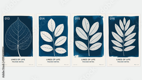 A series of four cyanotype prints displays detailed botanical specimens showcasing the delicate veins and structures of various leaves high quality professional modern elegant stylish clean
