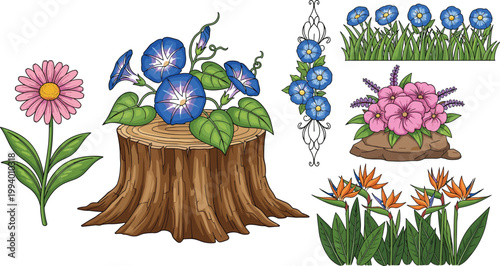 Floral Elements Collection with Morning Glory Daisy and Decorative Garden Flowers Botanical Vector Illustration Set