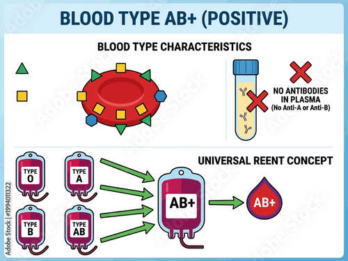 Understanding AB+ Blood Type: A Modern Infographic Illustrating Universal Recipient Characteristics and Plasma Antibodies in a Healthcare Context