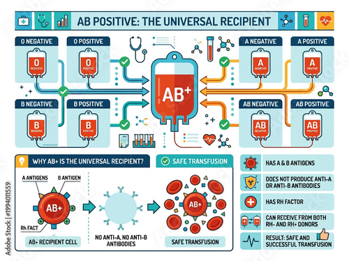Modern educational infographic explaining AB positive blood type as the universal recipient for safe medical transfusion processes.