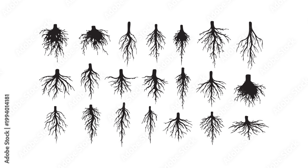 Fototapeta premium Tree root system silhouettes collection for biology educational materials and gardening landscaping concepts design ideas.