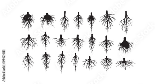 Tree root system silhouettes collection for biology educational materials and gardening landscaping concepts design ideas.