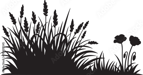 grass field flowers silhouette meadow plants black nature scenery