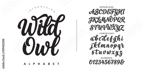 Photos Wild Owl decorative brush script font for logo design branding wedding invitatio