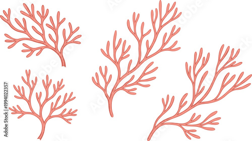 Coral Reef Illustration Set Featuring Branching Sea Coral in Different Colors for Marine Life, Ocean Decoration, Aquarium Design, and Underwater Nature Projects