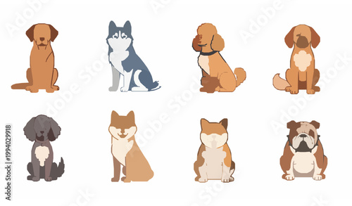 Flat cartoon dog breeds vector set with Labrador Husky Poodle Shiba Inu and Bulldog sitting isolated on white