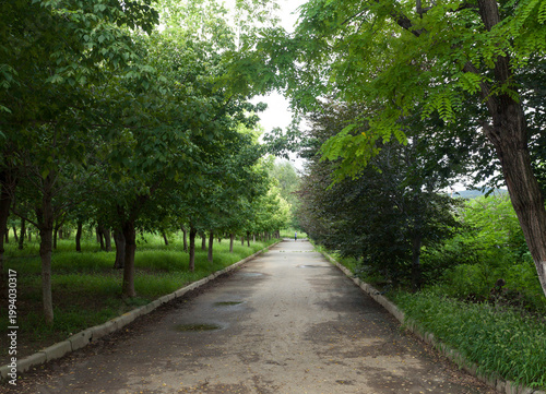 path in the park