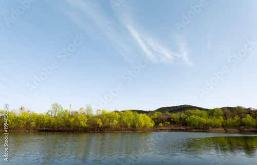 summer landscape with river
