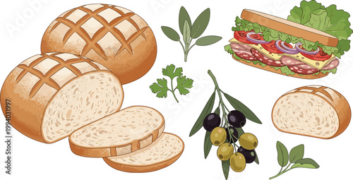 Bread and Sandwich Set with Sliced Loaf Olives Herbs and Fresh Ingredients Detailed Food Illustration for Bakery Menu, Cooking, Healthy Meal, and Vector Design