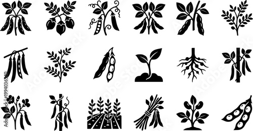 Vintage botanical woodcut illustration set featuring various legume plants including soybeans, chickpeas, peas, and green beans in a black and white engraved style.
