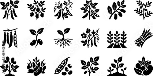 Vintage botanical woodcut illustration set featuring various legume plants including soybeans, chickpeas, peas, and green beans in a black and white engraved style.