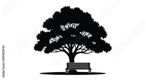 A solitary tree and park bench against a stark white background
