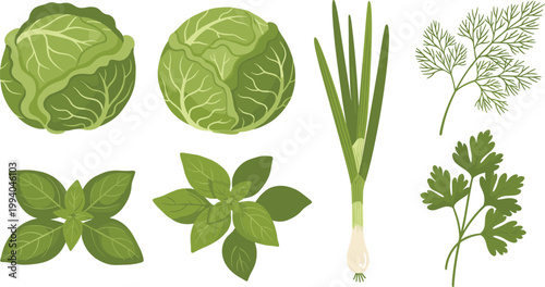 Green Vegetable and Herb Set with Cabbage Basil Parsley Dill and Green Onion Flat Illustration for Healthy Food, Organic Farming, Cooking, and Clean Vector Design
