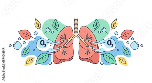Healthy lungs breathe in oxygen with leaves and bubbles around them