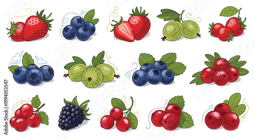 Rich collection of colorful berries including strawberries, blueberries, blackberries, gooseberries, and cranberries with green leaves.
