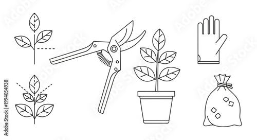 Gardening Tools and Plant Care Illustration.