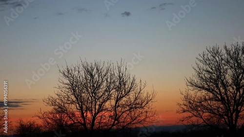 Scenic sunrise emerging from behind leafless trees