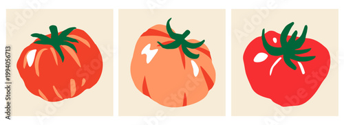 Set of three ink doodle abstract red beefsteak tomatoes. Trendy aesthetic farmer market hand drawn vector illustration. Element for poster, social media, banner, invitation. Trendy vegetable card.