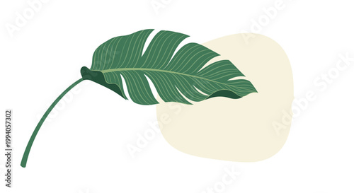 Tropical green banana leaf against an abstract beige organic shape creating a minimalist and modern botanical wall art composition.