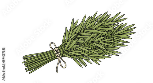 Fresh bunch of rosemary herb stems tied together with a simple rustic string used for cooking and seasoning various culinary dishes.