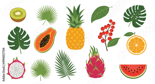 Tropical fruits and exotic leaves collection featuring pineapple papaya dragon fruit and monstera foliage on white background.