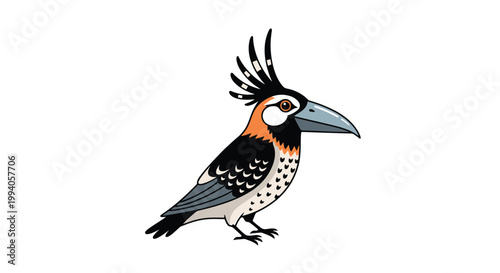 Crested bird illustration with striking black white and orange plumage and long beak isolated on white background.
