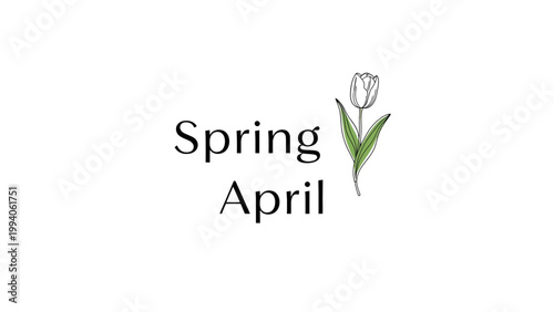Minimalist Spring April typographic design with a hand drawn tulip illustration.