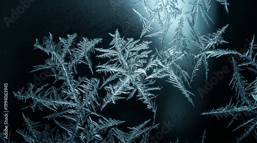 Intricate blue ice crystals on dark glass window in cold winter light