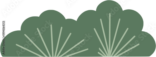 traditional bush