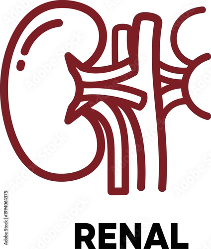 A simple line art illustration of a kidney, a vital organ in the human body, with the word RENAL in bold black letters below it
