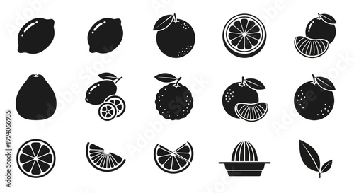 Black and white icons depicting various citrus fruits slices and juicer