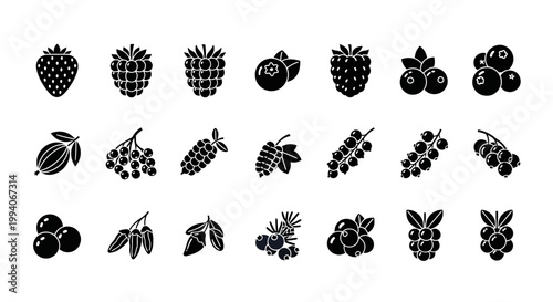 Collection of 18 blackandwhite glyph icons representing various berries