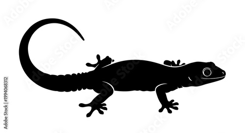 Silhouette of a Gecko Lizard on White Background