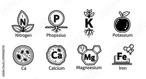 Set of Icons Representing Essential Plant Nutrients and Minerals.