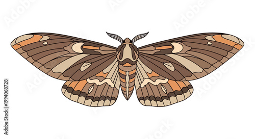 Detailed illustration of a brown moth with intricate wing patterns