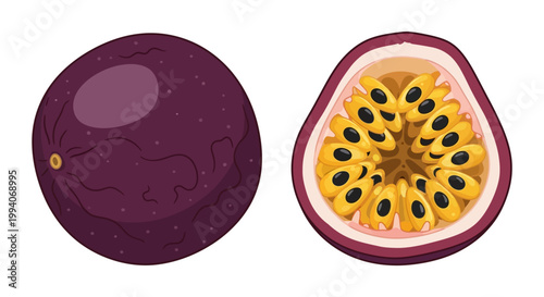 Vector illustration of whole and halved passion fruit on white background