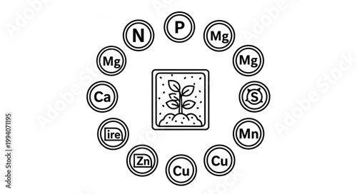 Plant Nutrients Essential Elements Circle Diagram.