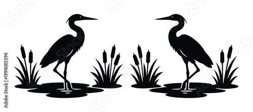 Elegant Heron Silhouettes, a pair of black wading birds in a pond with cattails, minimalist vector illustration for nature and wildlife designs