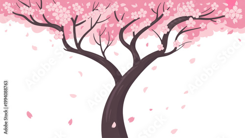A solitary cherry blossom tree in full bloom with delicate pink petals cascading down Vector