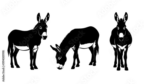 Donkey silhouette collection vector set with standing grazing and front view poses isolated on white