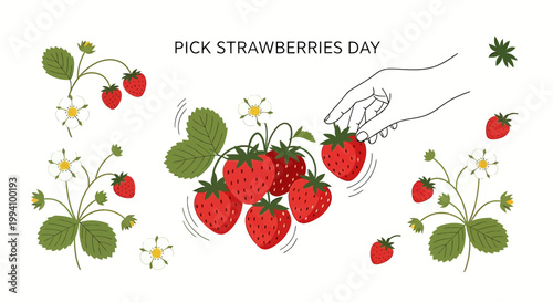 Fresh strawberries on green leaves.