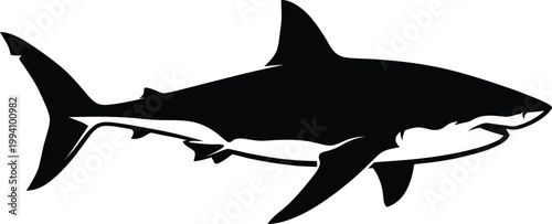 Minimalist vector illustration of a powerful great white shark design showing aggressive predatory movement in a sleek black graphic style