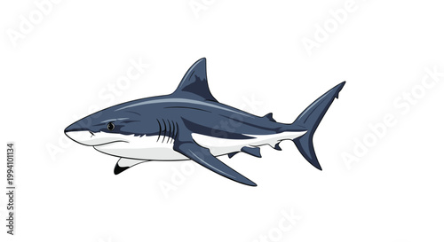 Powerful blue shark swimming gracefully through the water showing its fins and gills in a detailed marine life animal illustration.